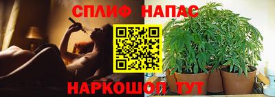 дмт Канаш