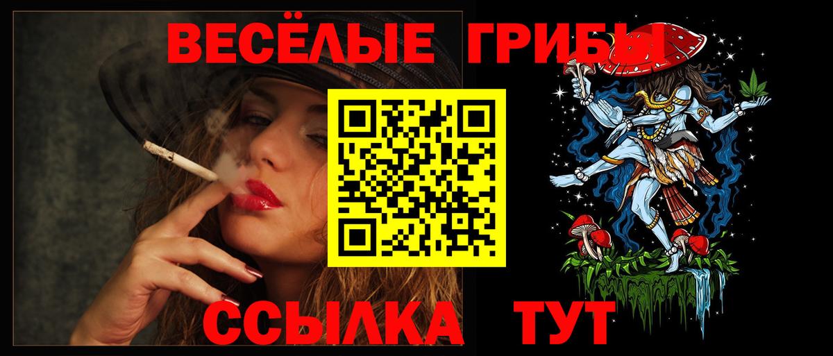 Галлюциногенные грибы GOLDEN TEACHER  Галлюциногенные грибы мицелий  Куйбышев  где найти наркотики  Вход с VPN 